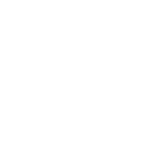 Ragtime Tabby - Sidekick Emote - Fortnite
