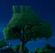 A tree