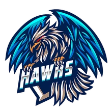 Hawk Esportslogo square