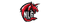 NLG Esports Academylogo std