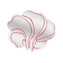 Oxalys Bunchlogo square