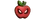 FruityINClogo std