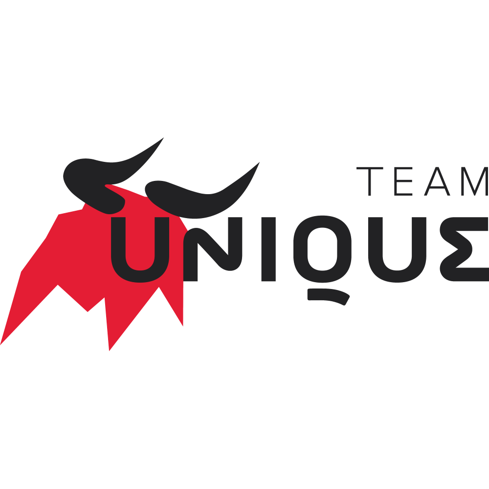 Unique сайт. Тим Юник. Unique логотип. Тим Юник лого. Team unique аватарка.