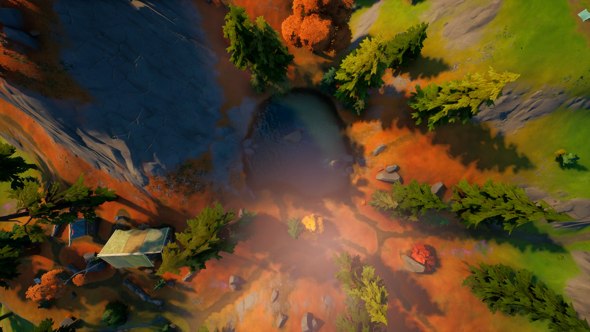 Primal Pond Top View