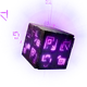 Wild Cube