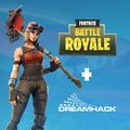 Promotional image for Dreamhack Winter 2017 featuring Renegade Raider.