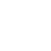 Icon (30)