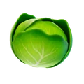 T-T-Icon-BR-Cabbage-L.png