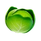 T-T-Icon-BR-Cabbage-L