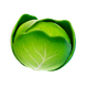 T-T-Icon-BR-Cabbage-L.png