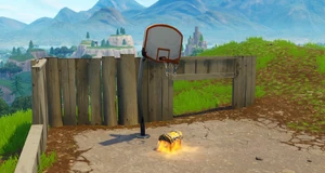 E8 Hoops