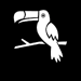 BrazilToucan