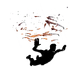 T-Icon-Trails-Builder S13-FX-SchoolofFish-L.png