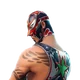 New Masked Fury