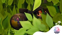 Sniper Shootout