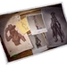 CalamityLoadingScreenPreview.png
