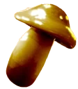 Golden Mushroom