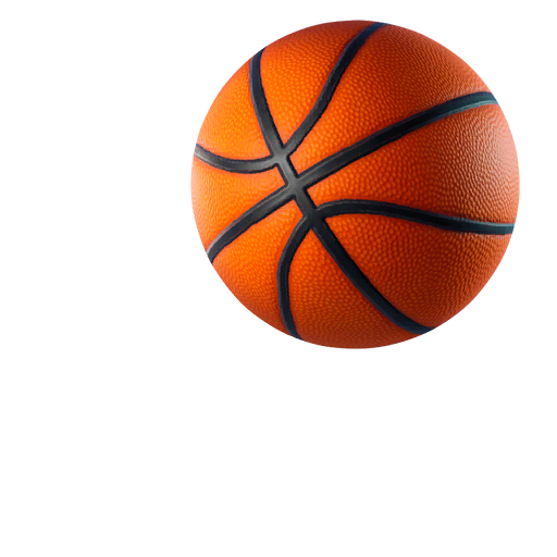 Fortnite Fancy Basketball Basketball Toy Fortnite Wiki