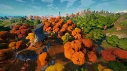 Weeping Woods CH2 S6 View.png