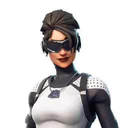 Arctic Assassin Outfit Fortnite Wiki