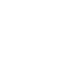 Icon (45)