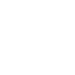 NinjaStyle