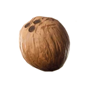 CoconutIcon