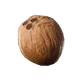 CoconutIcon