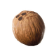 CoconutIcon.png