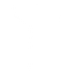 Xylo-bone.png