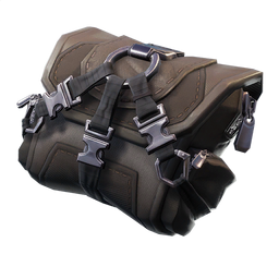 BuckledBackBling