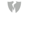 Short fuse icon
