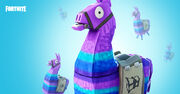 Supply llama promo image.jpg