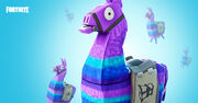 Supply llama promo image