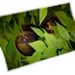 LlamaSpottedLoadingScreenPreview.png