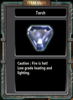 Torch.jpg