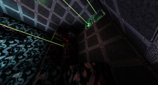 HiveMindFarm-LaserGates.jpg