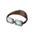 Hange's Goggles