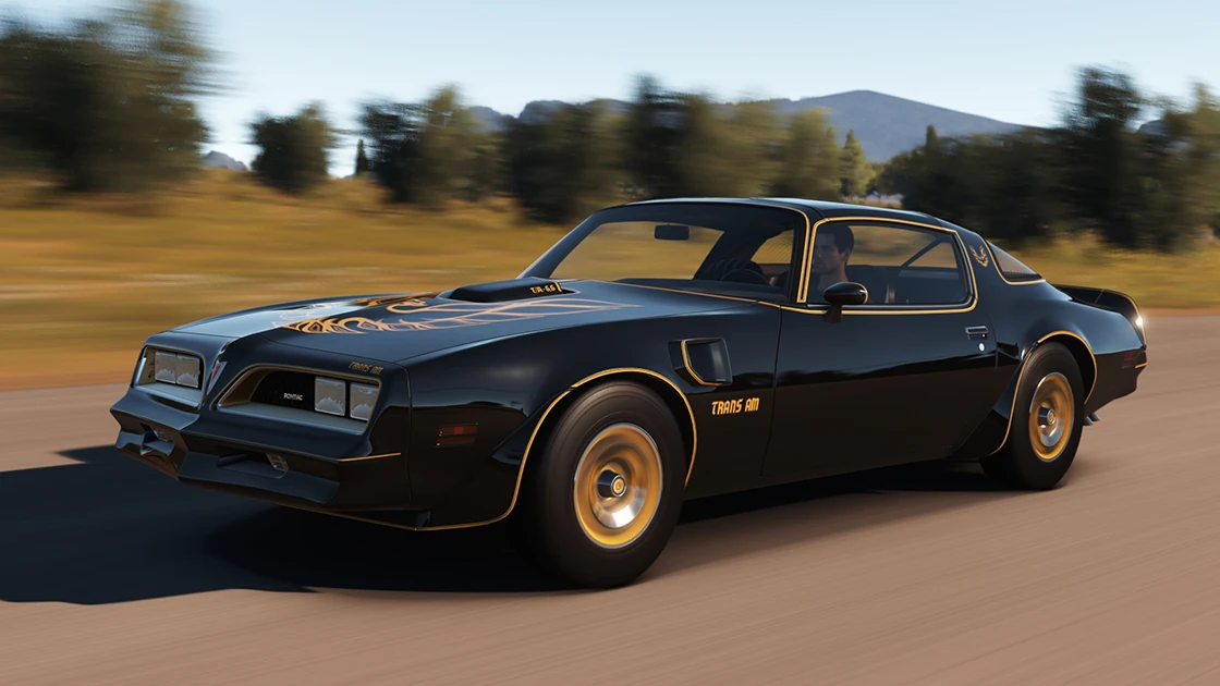 Pontiac Firebird Trans Am Gallery