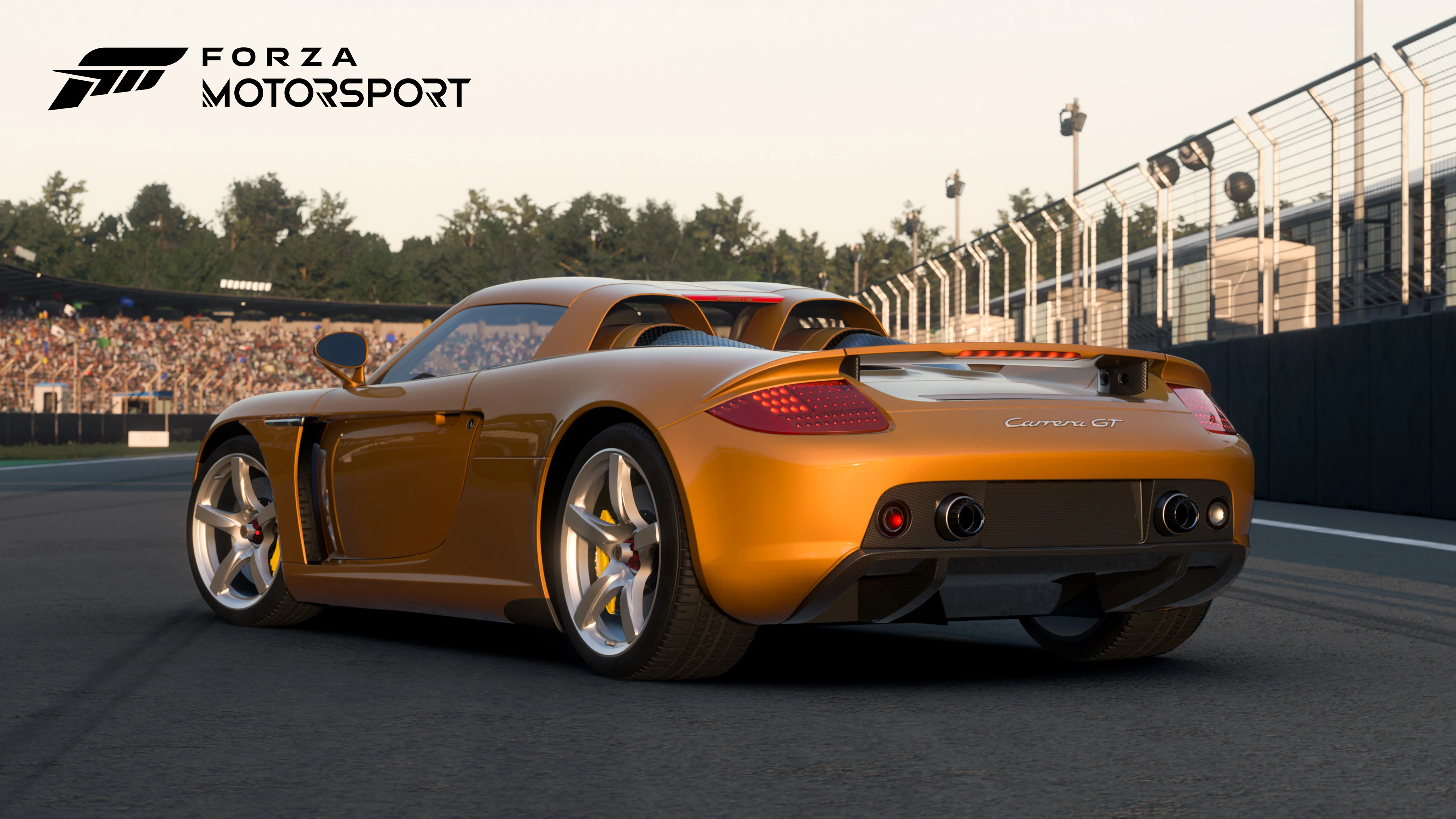 Porsche Carrera GT thumbnail