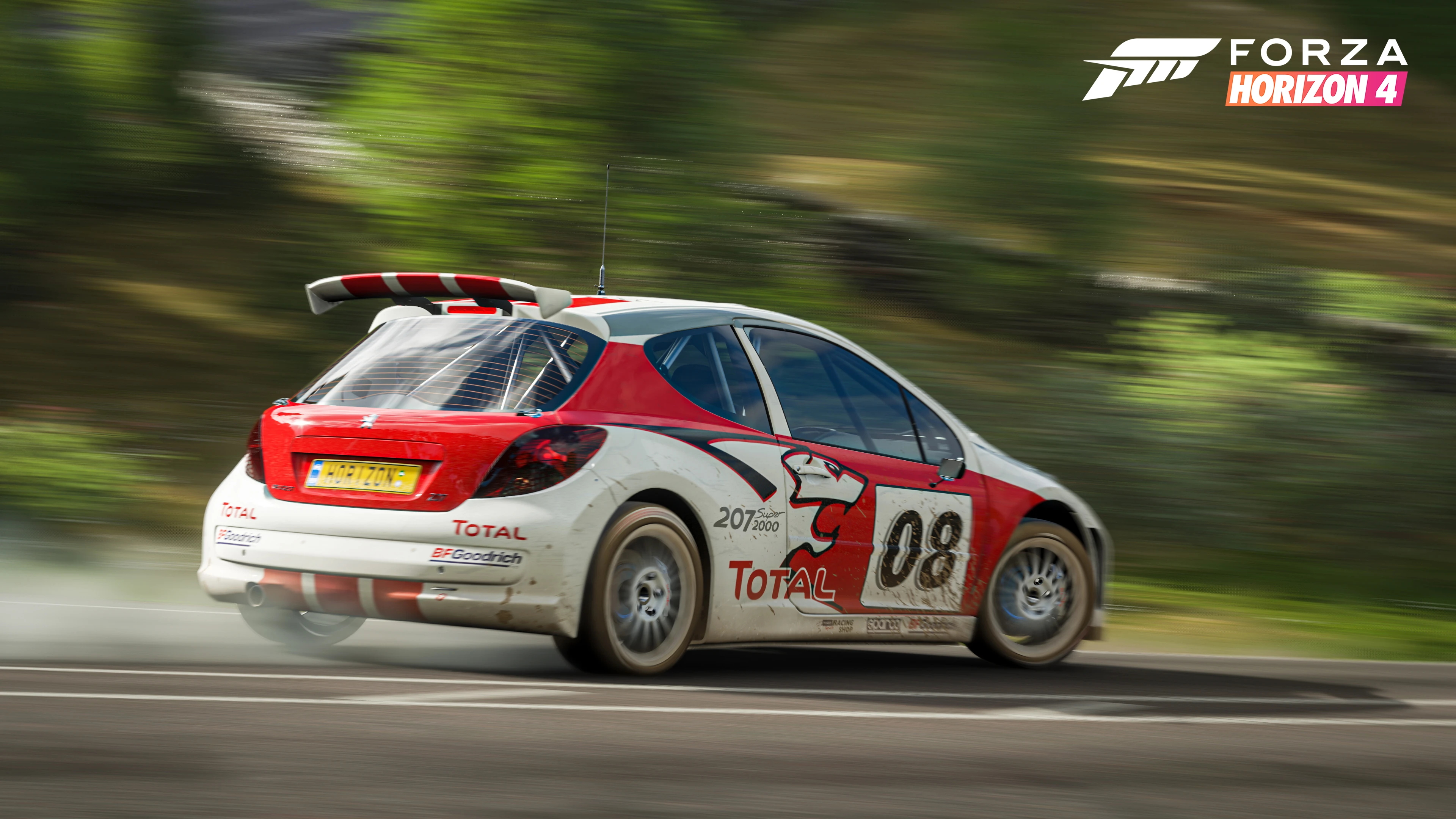 Peugeot 207 Super 2000 Promotional