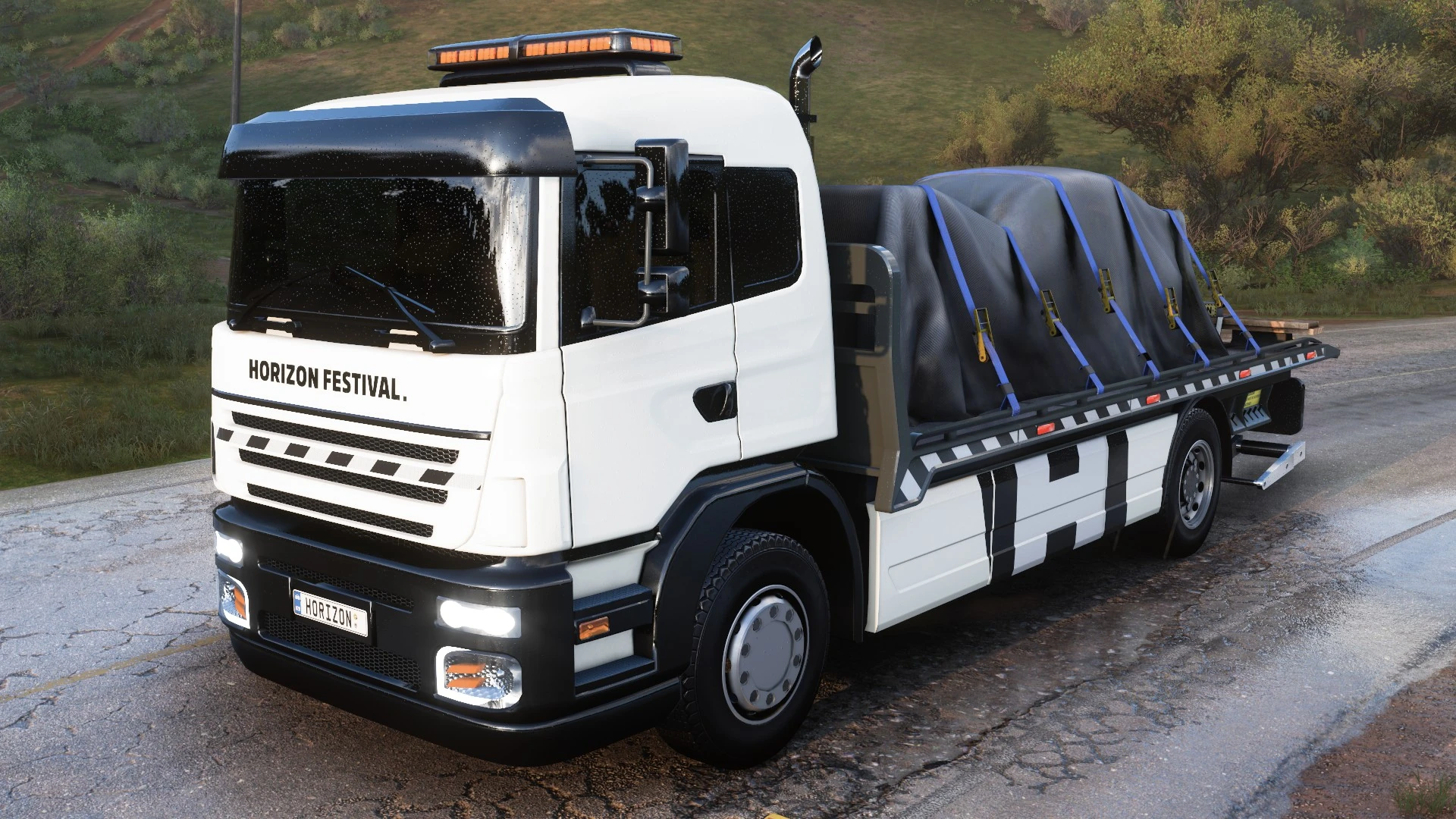 Alejandra's Flatbed Truck Gallery