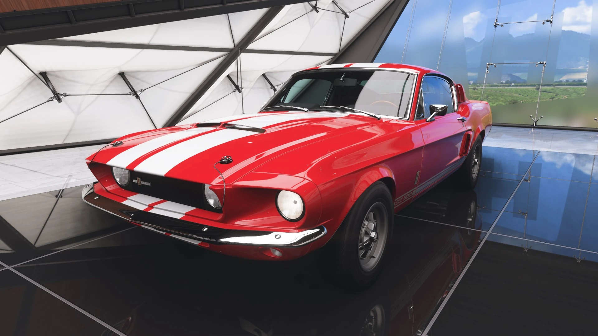 Shelby GT 500 Gallery