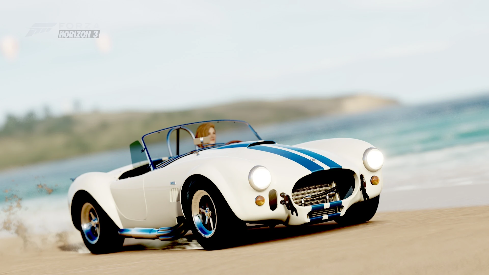 Shelby Cobra 427 S/C Gallery