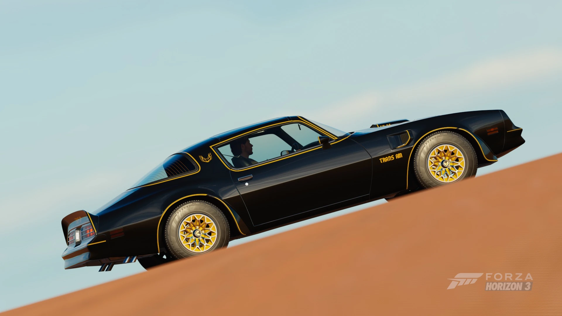 Pontiac Firebird Trans Am Gallery