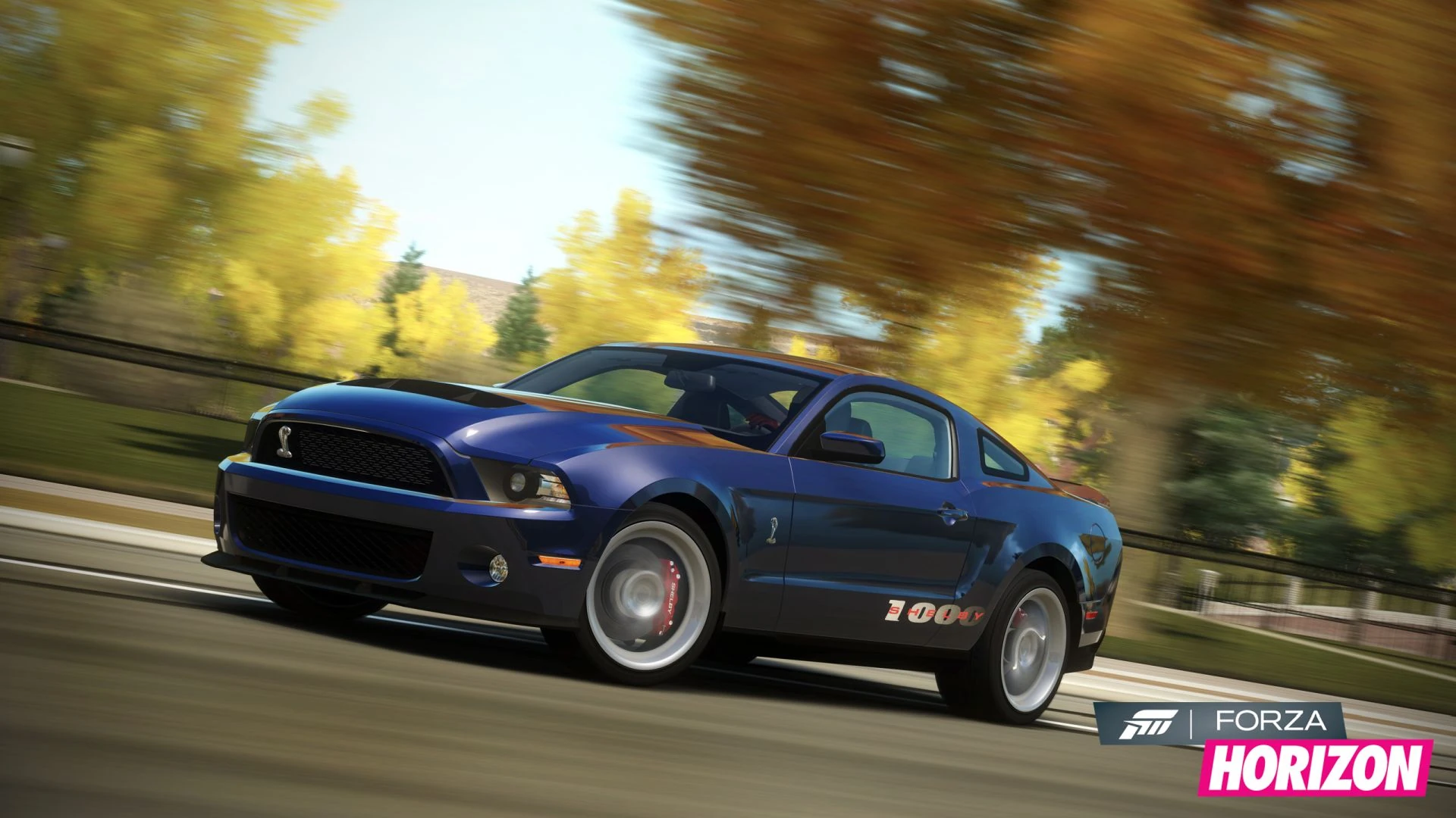 Shelby thumbnail