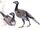 Enantiornis