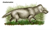 Diademodon.
