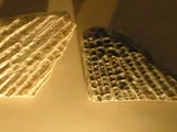 Mawsonia