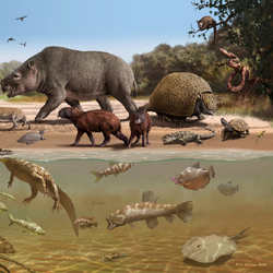 pliocene mammals